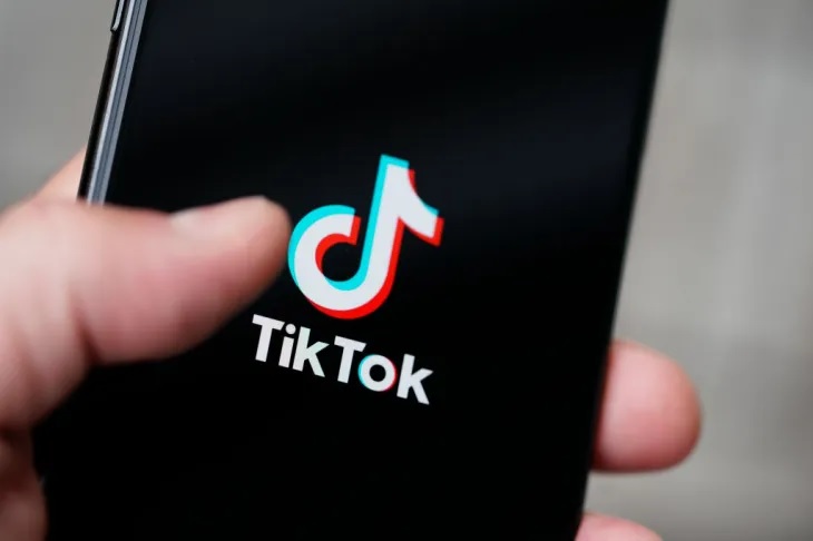 TikTok: How Should It Work?