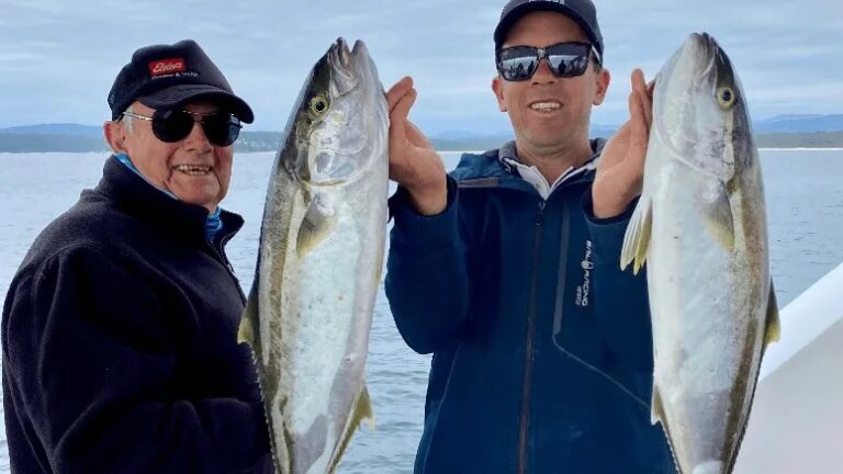 5 Great Reasons To Head Out On A Fishing Charter Tour From Merimbula, NSW